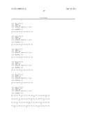 HLA-BINDING PEPTIDES, PRECURSORS THEREOF, DNA FRAGMENTS AND RECOMBINANT VECTORS THAT CODE FOR THOSE PEPTIDE SEQUENCES diagram and image