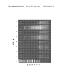 Selective Purification of Small RNAs from Mixtures diagram and image