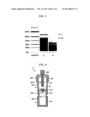 STOOL SAMPLE PROCESSING METHOD AND STOOL SAMPLE PROCESSING CONTAINER diagram and image