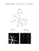 RETINAL FLOW CYTOMETRY diagram and image