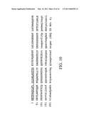 STABILIZED PROTEIN COMPOSITIONS diagram and image