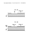 INSULATED CONDUCTIVE ELEMENT HAVING SUBSTANTIALLY CONTINUOUSLY COATED SECTIONS SEPARATED BY UNCOATED GAPS diagram and image