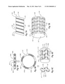 VISIBLE ENDOPROSTHESIS diagram and image