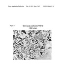 Tissue Engineered Meniscus Repair Composition diagram and image