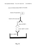 TISSUE INHIBITOR OF MATRIX METALLOPROTEINASES TYPE-1 (TIMP-1) AS A CANCER MARKER diagram and image