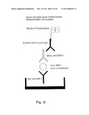 TISSUE INHIBITOR OF MATRIX METALLOPROTEINASES TYPE-1 (TIMP-1) AS A CANCER MARKER diagram and image