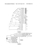 PLANTS HAVING INCREASED YIELD-RELATED TRAITS AND A METHOD FOR MAKING THE SAME diagram and image