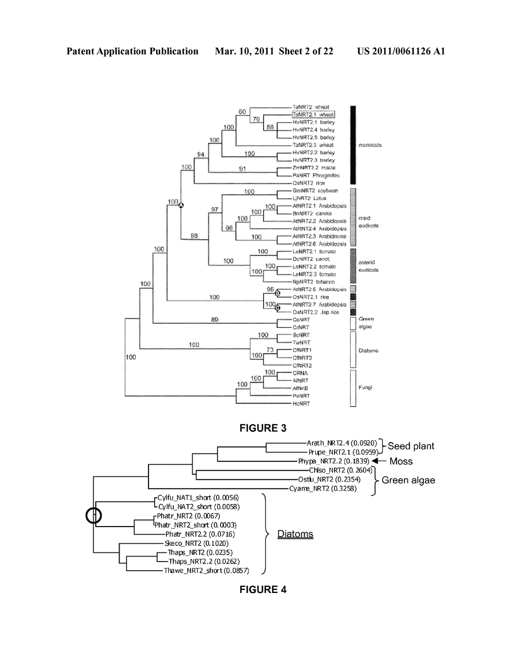 PLANTS HAVING INCREASED YIELD-RELATED TRAITS AND A METHOD FOR MAKING THE SAME - diagram, schematic, and image 03