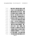 FUNCTIONAL EXPRESSION OF YEAST NITRATE TRANSPORTER (YNT1) IN MAIZE TO IMPROVE NITRATE UPTAKE diagram and image