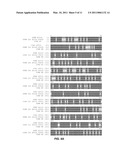 FUNCTIONAL EXPRESSION OF YEAST NITRATE TRANSPORTER (YNT1) IN MAIZE TO IMPROVE NITRATE UPTAKE diagram and image