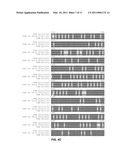 FUNCTIONAL EXPRESSION OF YEAST NITRATE TRANSPORTER (YNT1) IN MAIZE TO IMPROVE NITRATE UPTAKE diagram and image