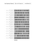 FUNCTIONAL EXPRESSION OF YEAST NITRATE TRANSPORTER (YNT1) IN MAIZE TO IMPROVE NITRATE UPTAKE diagram and image