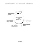 PLANTS HAVING INCREASED YIELD-RELATED TRAITS AND A METHOD FOR MAKING THE SAME diagram and image