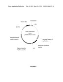 PLANTS HAVING INCREASED YIELD-RELATED TRAITS AND A METHOD FOR MAKING THE SAME diagram and image