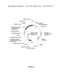 PLANTS HAVING INCREASED YIELD-RELATED TRAITS AND A METHOD FOR MAKING THE SAME diagram and image