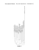 PLANTS HAVING INCREASED YIELD-RELATED TRAITS AND A METHOD FOR MAKING THE SAME diagram and image