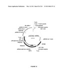 PLANTS HAVING INCREASED YIELD-RELATED TRAITS AND A METHOD FOR MAKING THE SAME diagram and image