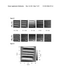 METHOD TO MEASURE 3 COMPONENT OF THE MAGNETIC FIELD VECTOR AT NANOMETER RESOLUTION USING SCANNING HALL PROBE MICROSCOPY diagram and image