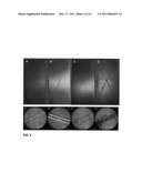 SILSESQUIOXANE DERIVED HARD, HYDROPHOBIC AND THERMALLY STABLE THIN FILMS AND COATINGS FOR TAILORABLE PROTECTIVE AND MULTI-STRUCTURED SURFACES AND INTERFACES diagram and image