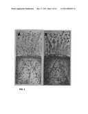 SILSESQUIOXANE DERIVED HARD, HYDROPHOBIC AND THERMALLY STABLE THIN FILMS AND COATINGS FOR TAILORABLE PROTECTIVE AND MULTI-STRUCTURED SURFACES AND INTERFACES diagram and image