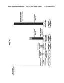 INFORMATION PROCESSING APPARATUS, DATA DISPLAY METHOD, AND PROGRAM diagram and image