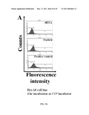 METHODS AND COMPOSITIONS INVOLVING CHITOSAN NANOPARTICLES diagram and image