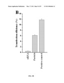 METHODS AND COMPOSITIONS INVOLVING CHITOSAN NANOPARTICLES diagram and image