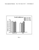 METHODS AND COMPOSITIONS INVOLVING CHITOSAN NANOPARTICLES diagram and image