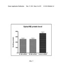 METHODS AND COMPOSITIONS INVOLVING CHITOSAN NANOPARTICLES diagram and image