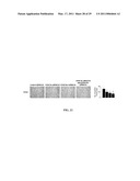 METHODS AND COMPOSITIONS INVOLVING CHITOSAN NANOPARTICLES diagram and image