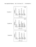 HEMANGIO COLONY FORMING CELLS AND NON-ENGRAFTING HEMANGIO CELLS diagram and image