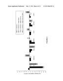 HEMANGIO COLONY FORMING CELLS AND NON-ENGRAFTING HEMANGIO CELLS diagram and image