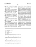 HEMANGIO COLONY FORMING CELLS AND NON-ENGRAFTING HEMANGIO CELLS diagram and image