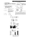 MATERIALS AND METHODS FOR TREATING OR PREVENTING ORGANOPHOSPHATE EXPOSURE ASSOCIATED DAMAGE diagram and image