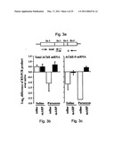 MATERIALS AND METHODS FOR TREATING OR PREVENTING ORGANOPHOSPHATE EXPOSURE ASSOCIATED DAMAGE diagram and image