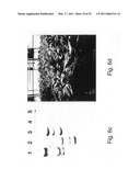 MATERIALS AND METHODS FOR TREATING OR PREVENTING ORGANOPHOSPHATE EXPOSURE ASSOCIATED DAMAGE diagram and image