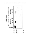 MATERIALS AND METHODS FOR TREATING OR PREVENTING ORGANOPHOSPHATE EXPOSURE ASSOCIATED DAMAGE diagram and image