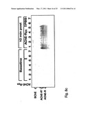 MATERIALS AND METHODS FOR TREATING OR PREVENTING ORGANOPHOSPHATE EXPOSURE ASSOCIATED DAMAGE diagram and image