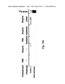 MATERIALS AND METHODS FOR TREATING OR PREVENTING ORGANOPHOSPHATE EXPOSURE ASSOCIATED DAMAGE diagram and image