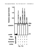 MATERIALS AND METHODS FOR TREATING OR PREVENTING ORGANOPHOSPHATE EXPOSURE ASSOCIATED DAMAGE diagram and image