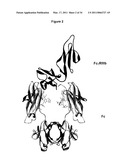 Immunoglobulin Variants Outside the Fc Region diagram and image