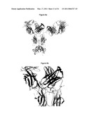 Immunoglobulin Variants Outside the Fc Region diagram and image