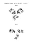 Immunoglobulin Variants Outside the Fc Region diagram and image