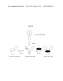 Immunoglobulin Variants Outside the Fc Region diagram and image