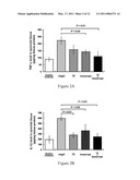 Use of IL-20 Antagonists for Treating Rheumatoid Arthritis and Osteoporosis diagram and image