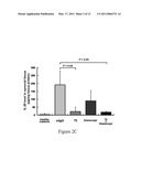 Use of IL-20 Antagonists for Treating Rheumatoid Arthritis and Osteoporosis diagram and image