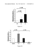 Use of IL-20 Antagonists for Treating Rheumatoid Arthritis and Osteoporosis diagram and image