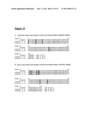 CA6 ANTIGEN-SPECIFIC CYTOTOXIC CONJUGATE AND METHODS OF USING THE SAME diagram and image