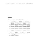 CA6 ANTIGEN-SPECIFIC CYTOTOXIC CONJUGATE AND METHODS OF USING THE SAME diagram and image