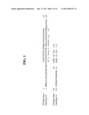 NUCLEIC ACID MOLECULES AND POLYPEPTIDES FOR IMMUNE MODULATION diagram and image